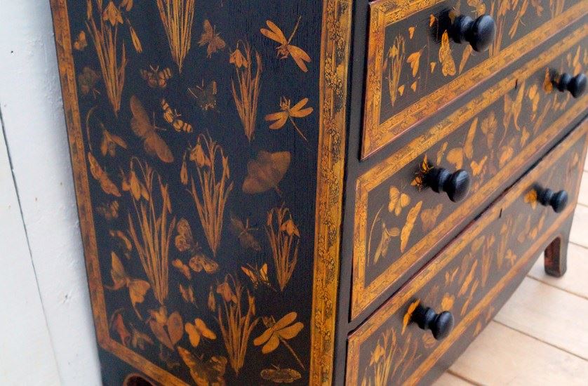 We used butterflies and dragonflies