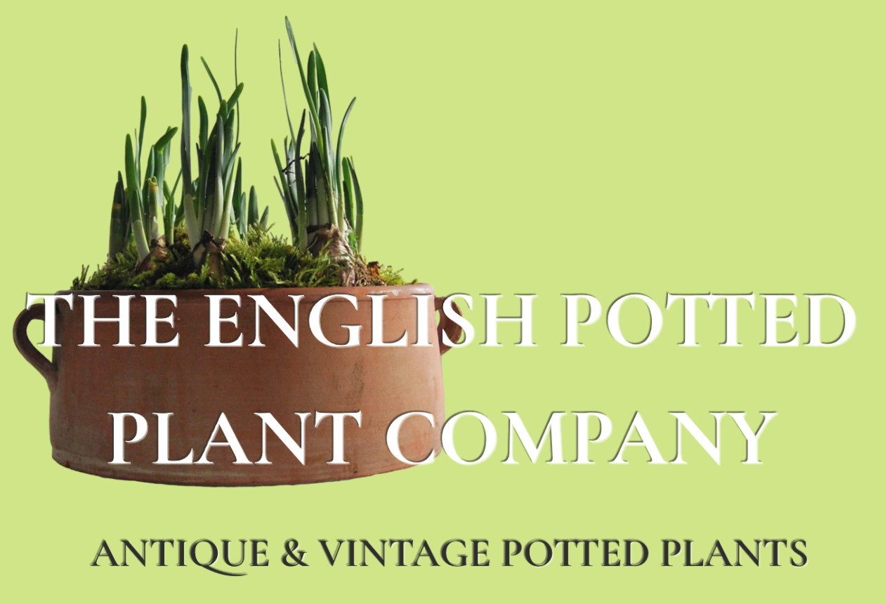 THE ENGLISH POTTED PLANT COMPANY