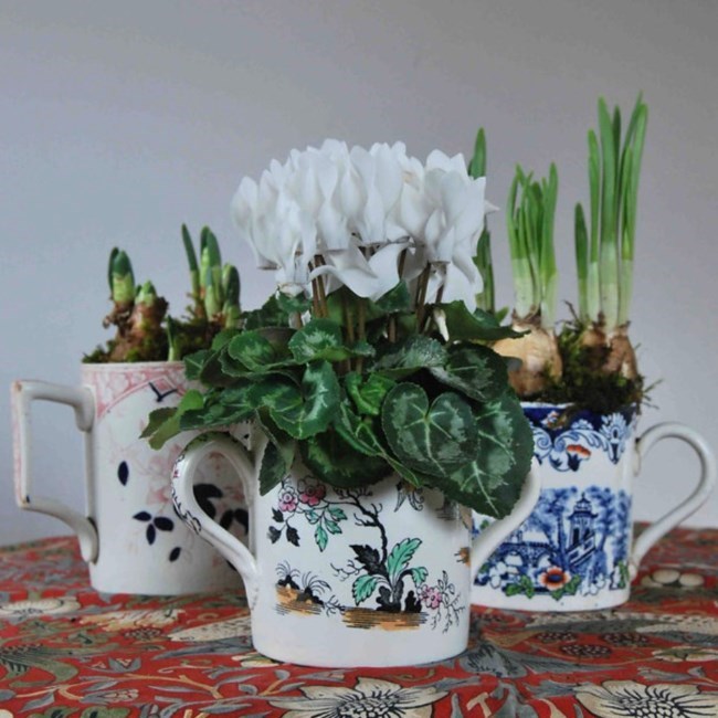 THE ENGLISH POTTED PLANT COMPANY