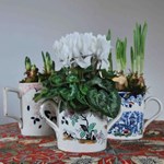 THE ENGLISH POTTED PLANT COMPANY