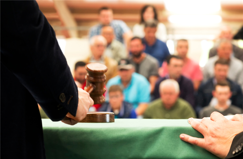 An auctioneer holds a gavel at a live auction. Buyers can be seen in the background. 